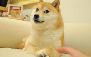 How do you pronounce doge?