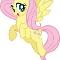 Fluttershy