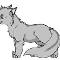 Graystripe