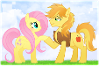 fluttershy and braeburn