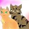 Tigerstar x Firestar