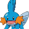 Mudkip