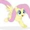 Fluttershy