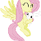 fluttershy and Angel?