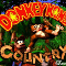 Donkey Kong Country