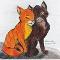 Squirrelflight and Brambleclaw