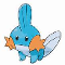 Mudkip