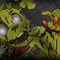 Springtrap