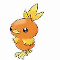 Torchic