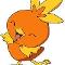 Torchic