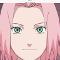 Sakura Haruno!