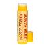 Burts bees