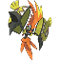 Tapu Koko