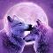 love wolfs