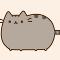 Pusheen Cat