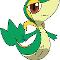 Snivy