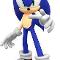 Sonic the hedgehog