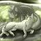 Silverstripe (Silverstream+Graystripe)