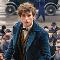 Newt Scamander (Fantastic Beasts and Where to Find Them)