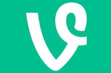 Vine