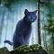 Bluestar