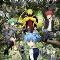 assassination classroom