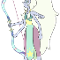 Opal