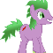 Spike Pony