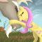 Discoshy (Fluttershy & Discord)