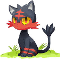 Litten!