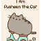 pusheen the cat (I know the picture has "the book" on it, but oh well)