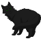 Hollyleaf