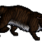 Hawkfrost