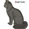 Graystripe