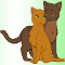 Brambleclaw x Squirrelflight