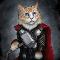 Thorcat