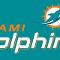 The miami dolphins