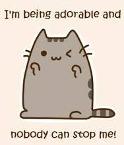 Pusheen for the win