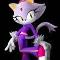 Blaze the cat