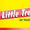 Get a lifetime supply of Little Trees car air fresheners