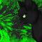 Hollyleaf