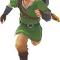 Skyward Sword Link