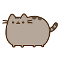 pusheen