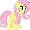 Fluttershy