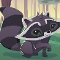 Raccoon