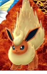 Rough and tumble flareon