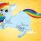 Rainbow dash cat form