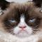 Grumpy Cat