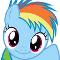 rainbow dash filly