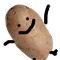 I don't know, I am a POTATO!